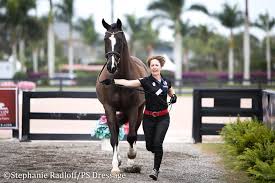 We did not find results for: All But One Pass Jog Inspection At The Agdf Cdi 5 During Week Five Ps Dressage