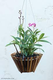 This square wooden box was actually bigger than my old boxes, which provided more space for the orchid bark for transplanting the young orchid, giving the roots ample room to grow. 32 Orchid Crates Ideas Orchids Garden Growing Orchids Hanging Orchid