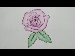 Bunga mawar merupakan tanaman semak atau memanjat yang memiliki batang berduri. Contoh Gambar Gambar Bunga Mawar Untuk Mewarnai Kataucap