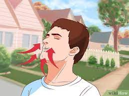 We did not find results for: 4 Ways To Stop An Asthma Attack Without An Inhaler Wikihow