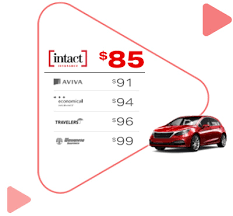 Some insurers offer options to fill some of the gaps. Fast Insurance Quotes Better Business Compare Cheap Car Insurance In Ontario Get Best Quotes Save Dogtrainingobedienceschool Com