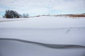 Maybe you would like to learn more about one of these? Cafo Farm In Devils Lake North Dakota Homegrown Stories