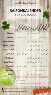 Salat Hat Immer Saison Saisonkalender Wiressengesund Healthy Plants Calendar Healthy