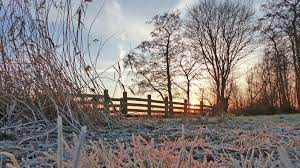 Laat ons weten wat jij weet. Foto S Winterweer Het Is Koud Maar Wat Is Het Mooi Buiten He Rtl Nieuws