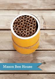 How to make a bee house. P Ggoodeveryday Earn Rewards Gift Cards Printable Coupons Do Good With Loyalty Program Mason Bee House Mason Bees Bee House