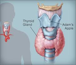 Hypothyroidism Underactive Thyroid Symptoms Causes Tests Treatments