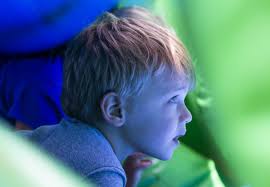 CHQ Olympics Brings Out the Best in Everyone (Photo Gallery)