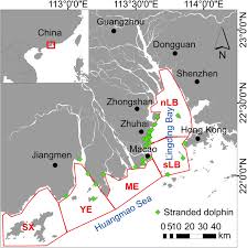 Film jepang sub ,indo #hot , #terpopuler 2021. Investigating The Age Composition Of Indo Pacific Humpback Dolphins In The Pearl River Estuary Based On Their Pigmentation Pattern Springerlink