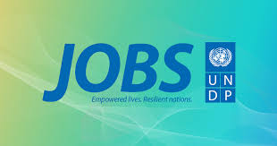 Emplois Au Pnud