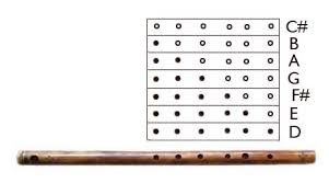 Flute finger chart for beginners kafi website. How To Play Windwood Flutes