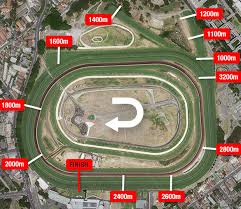 See reviews and photos of islands in randwick, australia on tripadvisor. Randwick Racecourse Randwick Track Map Info On Race Track