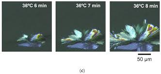 Jensen's flower and garden is a family owned business that prides ourselves in providing high quality plants,. Molecules Free Full Text Structural Study On Fat Crystallization Process Heterogeneously Induced By Graphite Surfaces Html