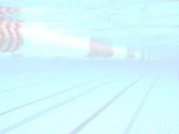 2000 Suburban Swim League Championships