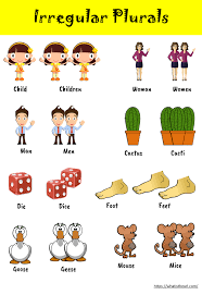 A cactus (plural cacti, cactuses, or less commonly, cactus) is a member of the plant family cactaceae, a family comprising about 127 genera with some 1750 known species of the order die is the singular form of dice. Chart Worksheet On Irregular Plurals Your Home Teacher