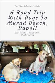 A Road Trip With Dogs To Murud Beach Dapoli Road Trip With Dog Family Travel Destinations Usa Family Adventure Travel