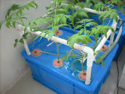 6 Site Plant Site Hydroponic System Grow Kit Indoor Cabinet Box Large Ebay