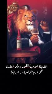 اسد lion book cover art lion art beautiful arabic words
