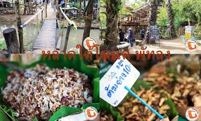 ผลการค้นหารูปภาพสำหรับ ตลาดใต้โหนด