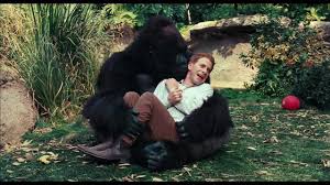 It can be viewed right now at watchfreemovienow.com. Old Dogs Official Movie Trailer Creators Of Wild Dogs Hd Quality 720p Youtube