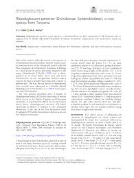 Image result for Rhipidoglossum globulosocalcaratum