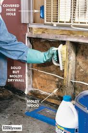 10 Tips For Dealing With Water Damage Mold And Mildew In 2020 Diy Home Repair Mold And Mildew Home Repair