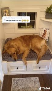 Check spelling or type a new query. Diy Luxury Dog House