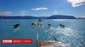 Gronland Da Meteoroloji Ekibinin Su Icinde Sira Disi Yolculugu Bbc News Turkce