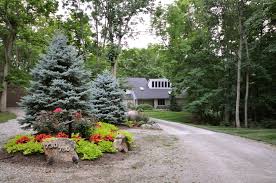 I'm beginning to wonder if there is some awful trend going on about chopping trees and bushes down. How Important Is Full Sun For A Blue Spruce Tree Gardening Landscaping Stack Exchange