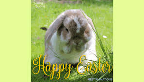 Cute baby bunny rabbit illustration for nursery design. 40 Great Happy Easter Gif