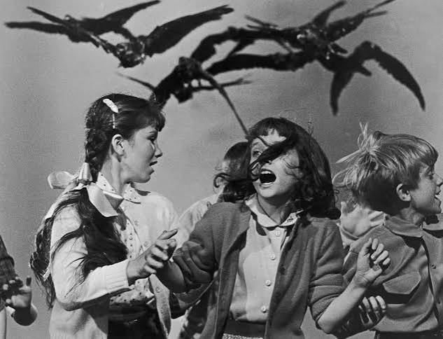 The Birds (1963) - IMDb