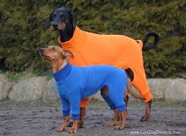 Strictly european boxers where quality, health, and. Ohio Fleece Dog Suit Dog Suit Dog Clothes Dogs