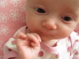 The Anne Braden Anti-Racist Training Program 2009