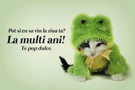 Draga cumatru, iti doresc ca toata visele tale sa devina realitate si dorintele sa se transforme in realizari! Facebook