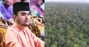 Turut berangkat, dytm raja muda selangor tengku amir shah. S Gor Crown Prince Is Allegedly A Stakeholder In The Company Developing The Forest Reserve