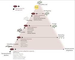 Resistance Tolerance And Recovery Reef Resilience