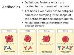 bloodtyping