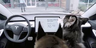 The sloshing noise may be es. Tesla Owner Discovers Problem With Dog Mode Air Conditioning Feature The Verge