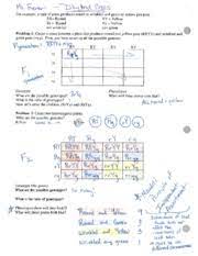 Cross between two pea plants with two pairs of contrasting characters is called a dihybrid cross. Worksheet Dihybrid Crosses Unit 3 Genetics Worksheet List