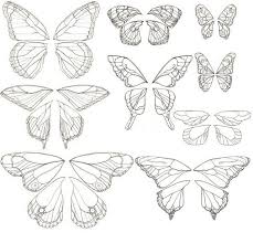 Butterfly Drawings Half Butterfly Tattoo Butterfly Drawings Half Butterfly Tattoo Butterfly Butterflytattoo Drawings Halfb Butterfly Drawing Drawings Butterfly Art