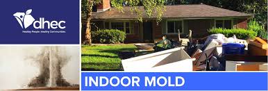 The following are some of the most common spots for mold to grow undetected and, therefore, smart locations to test for mold: Indoor Mold Scdhec