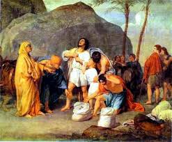 Image result for Vausagesia