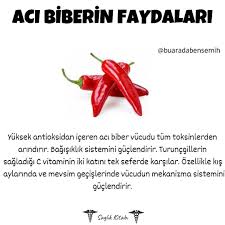 Aci Biberin Vucudumuza Yararlari Ve Zararlari Saglikla Ilgili Bilgilere Sayfamizdan Ulasabilirsiniz Saglikkitabi Biberin Fayd 2020 Saglik Biber Mide Kanseri
