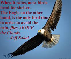 When the storm hits, it sets its wings so that the wind will pick it up and lift it high above the storm. Quotes About Eagles That Fly Quotesgram