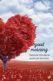 New Year 2018 Amazing Wallpapers Hd Images Download For Free Good Morning Quotes Good Morning Inspirational Quotes Good Morning Picture