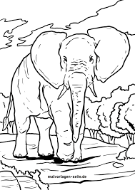 Check spelling or type a new query. Tolle Malvorlage Elefant Tiere Kostenlose Ausmalbilder