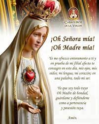Un periodista en horas bajas descubre una serie de aparentes milagros de una joven que dice haber sido visitada por la virgen maría, milagros acaecidos en un pequeño pueblo de nueva inglaterra. Consagracion A La Virgen Maria Oraciones Religiosas Dulce Madre Oracion Oraciones Catolicas