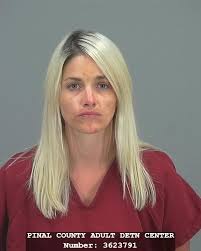 Pinal County Sheriff S Log 5 11 19 Sheriffs Log Pinalcentral Com