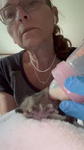 Beulah Paradise Critter Rescue, Inc