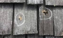 Image result for what kind of treatment for cedar shake roof