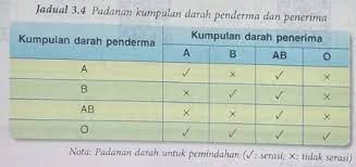 Jika penderma adalah berdarah kumpulan o, maka penerima boleh terdiri daripada kumpulan a, b, ab dan o. Kumpulan Darah Manusia Science Quiz Quizizz